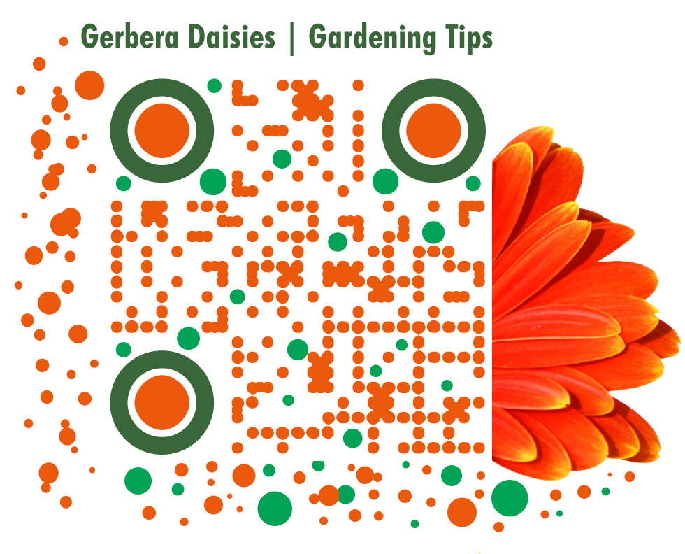QR Code Definition Visual QR Code Generator Blog Visualead