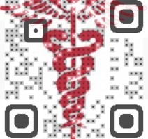 Health QR Code Visual QR Code